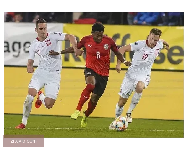 世界杯赛事深度解析与投注技巧全面指南